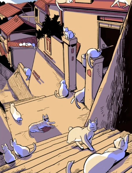 Welcome To The Island Of Cats